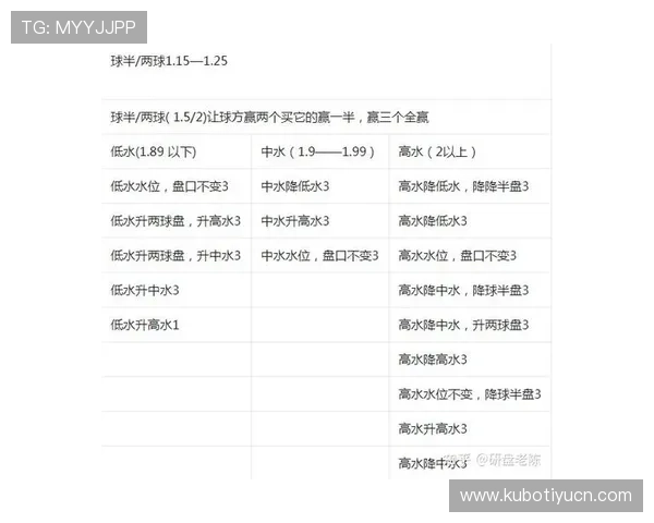 足彩数据分析网站排名前十名详细评测帮助用户选择高效可靠的足球数据分析工具